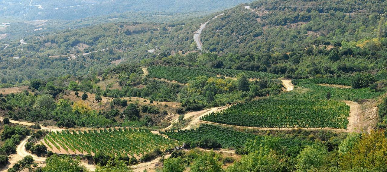 Rapsani Panorama Villa Kültér fotó